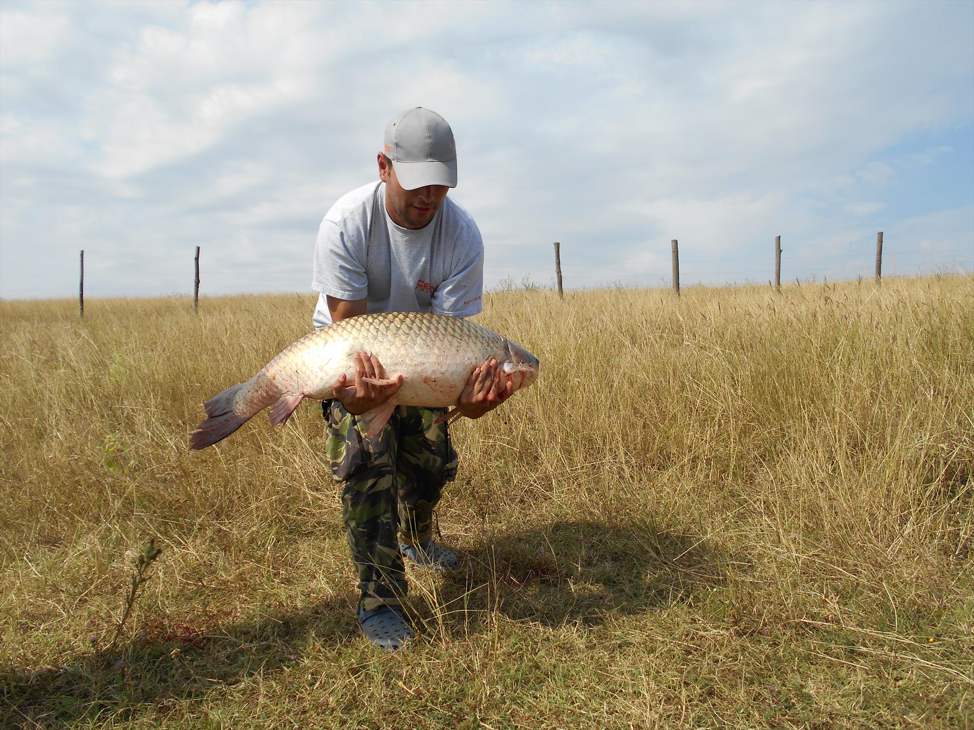 Polcesti - dscn0916.JPG